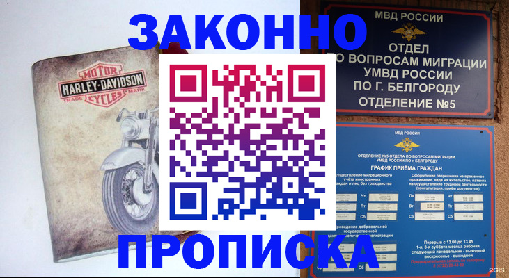 прописка для школы в Кировске